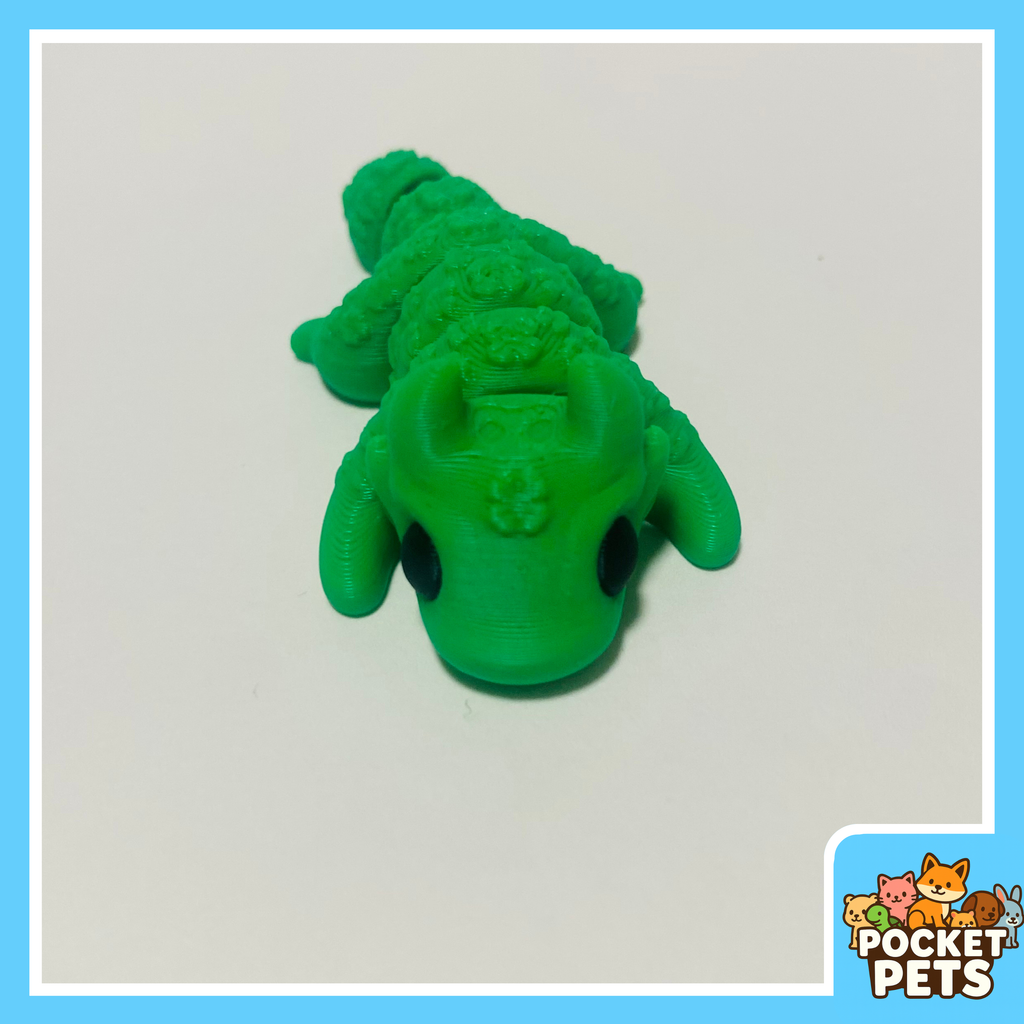 Lucky Dragon - Pocket Pet - Collectible Fidget Toy